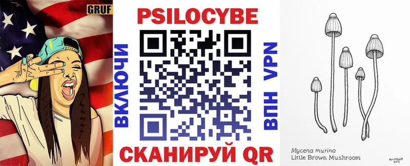 Псилоцибиновые грибы ЛСД  Купить закладки  Новотроицк 